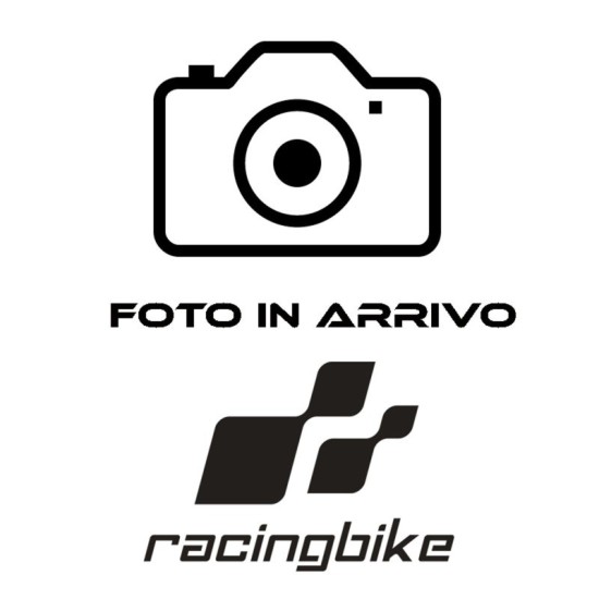 RACINGBIKE VETRO DI RICAMBIO PROTEZIONE DASHBOARD APRILIA RS660 2021-2023 TRASPARENTE